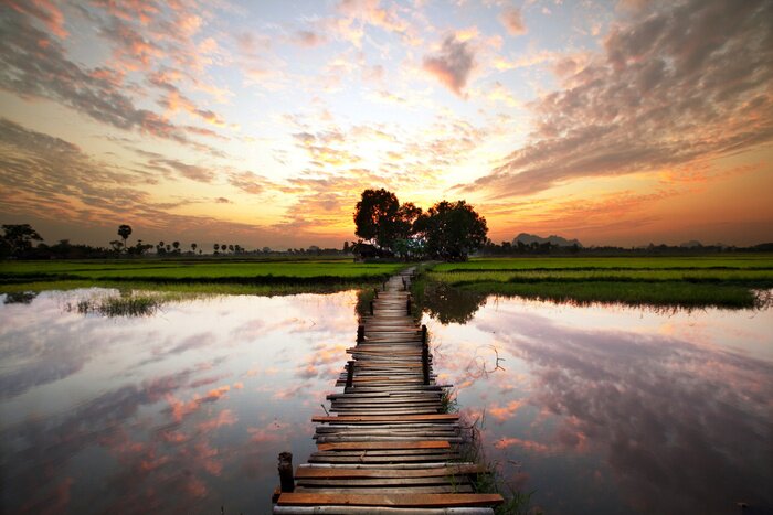 Poster Motiv Natur und Wege  auf dem Hintergrund von Wasser