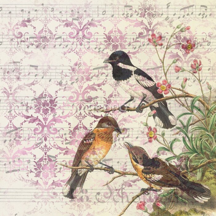 Poster Musiknoten und Vögel Collage Vintage Retro