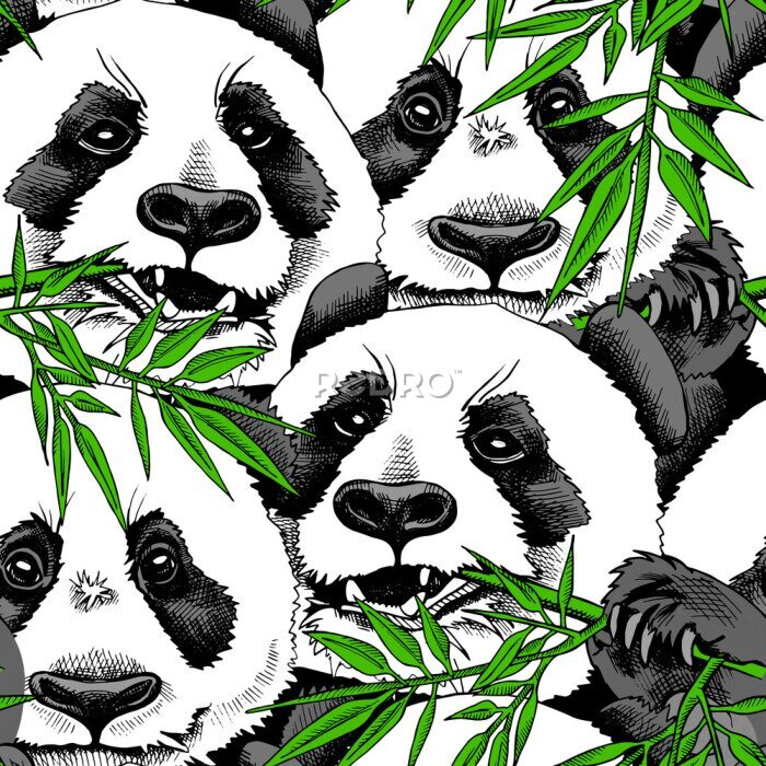 Poster Muster mit Pandas und Bambusblättern