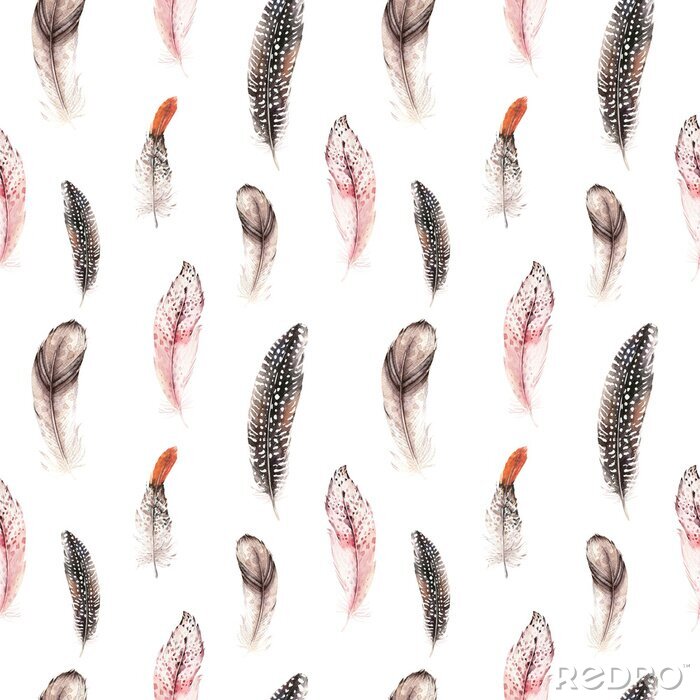 Poster Muster mit zarten Vogelfedern