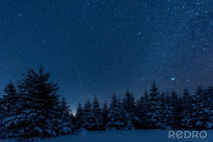 Poster Nachthimmel über Winterwald