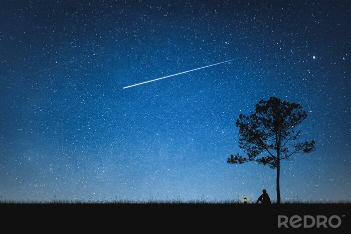 Poster Nachthimmel und Sternschnuppe