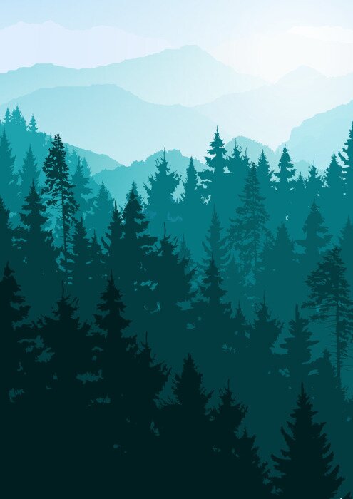 Poster Nadelbäume Wald vor dem Hintergrund der Berge