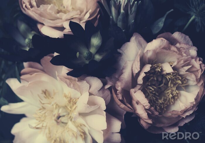 Poster Nahaufnahme eines Pfingstrosenstraußes im Retro-Stil