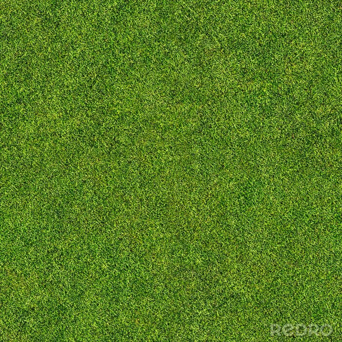 Poster nahtlose Gras