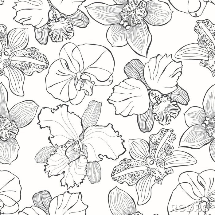 Poster Nahtloses mit Blumenmuster mit Hand gezeichneten verschiedenen Orchideen. Vektorschwarzweiss-Illustration. Konturzeichnung.