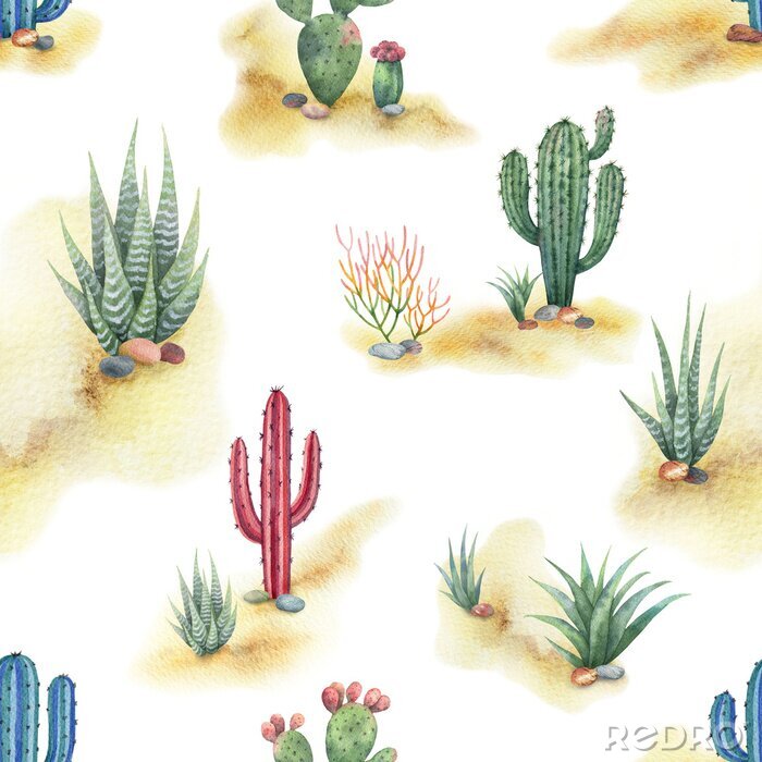 Poster Nahtloses Muster des Aquarells der Landschaft mit der Wüste und Kakteen lokalisiert auf weißem Hintergrund.