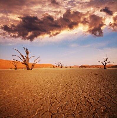 Poster Namib-Wüste Landschaft