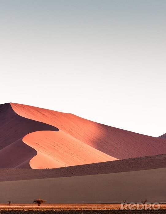 Poster Namib Wüste, Sanddünen bei Sonnenuntergang, Sossusvlei, Namibia, Afrika