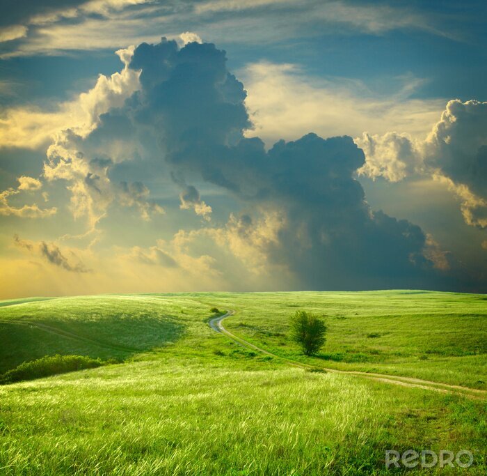 Poster Natur auf Feld