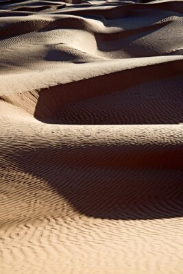 Natur der tunesischen Wüste