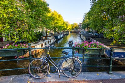 Natur in der holländischen Hauptstadt