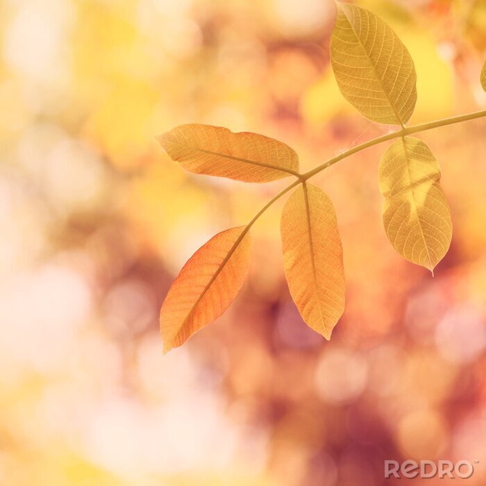 Poster Natur in warmen Farben