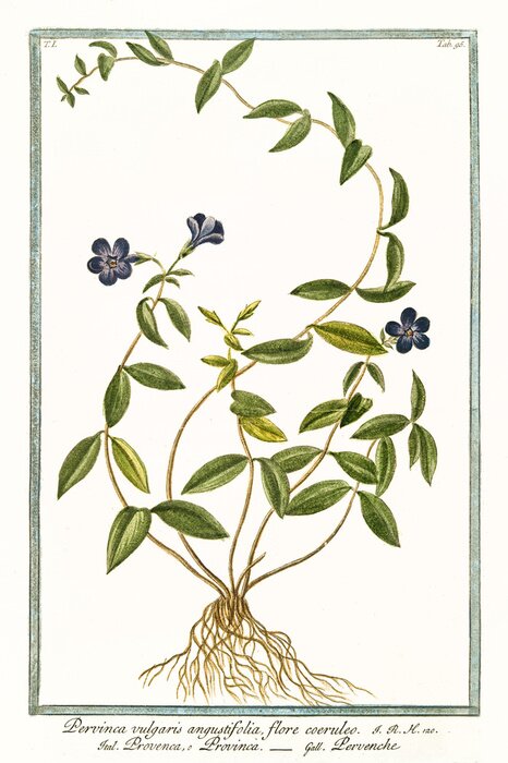 Poster Natur-Motiv aus lila Farbstoff