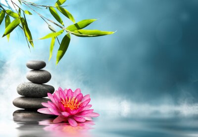 Fototapete Natur Steine