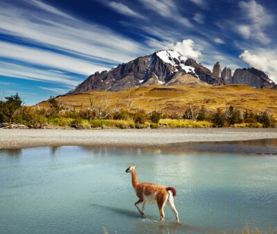 Natur und Berge in Chile