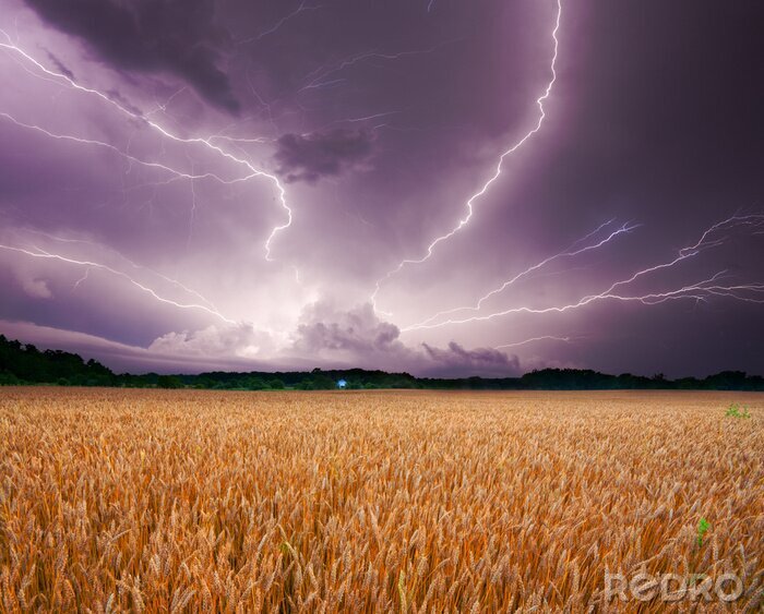 Poster Natur und Sturm über dem Feld