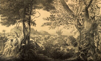 Fototapete Natur von Südamerika.