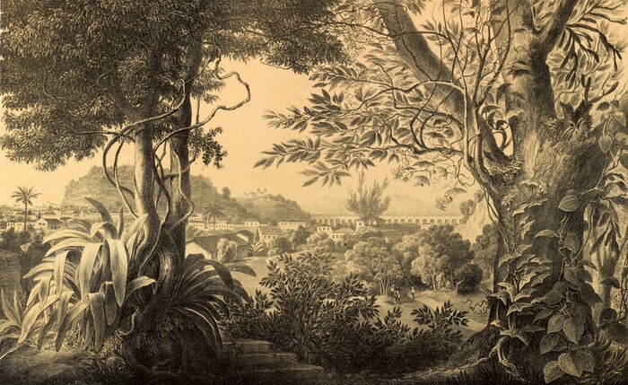 Poster Natur von Südamerika.