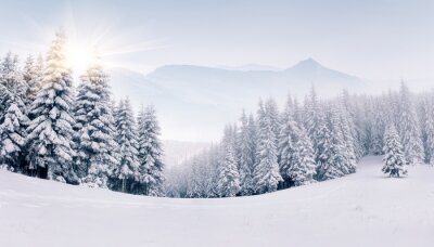 Neblige Winterlandschaft in den Bergen