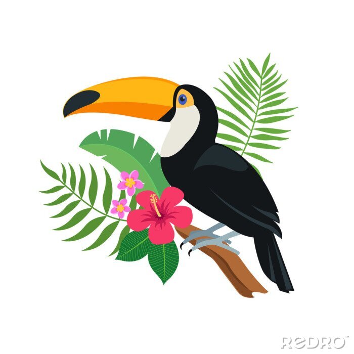 Poster Netter Tukanvogel, der auf einer tropischen Niederlassung mit exotischen Blättern und Blumen des Hibiscus und des Plumeria sitzt. Helle bunte vektorabbildung in der Karikaturart
