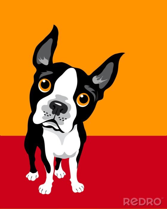 Poster Niedlicher Hund auf zweifarbigem Hintergrund