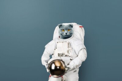Poster Niedliches Astronauten-Kätzchen