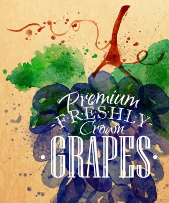 Poster Obst Aquarell-Abbildung von Weintrauben