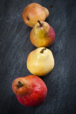 Poster Obst Birnen in verschiedenen Farben