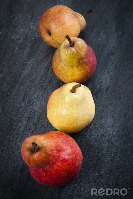 Poster Obst Birnen in verschiedenen Farben