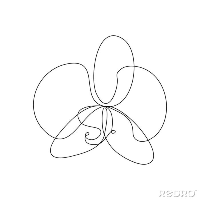 Poster Orchidee Blume im Line-Art-Stil