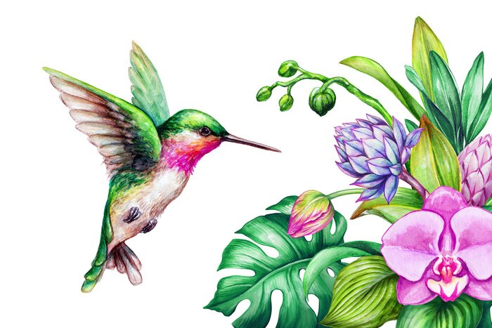 Poster Orchidee im Strauß und bunter Kolibri