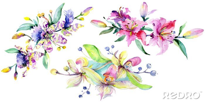 Poster Orchidee mehrfarbige Kompositionen