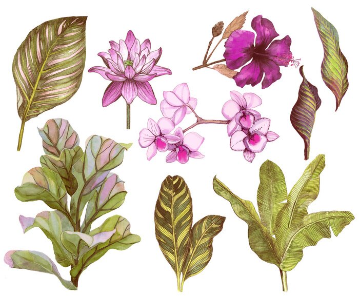 Poster Orchidee und exotische Blätter