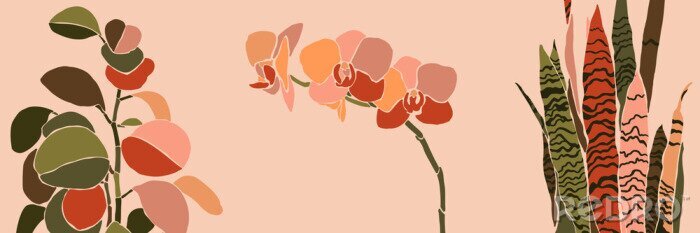 Poster Orchidee und Sansevieria in warmen Farben