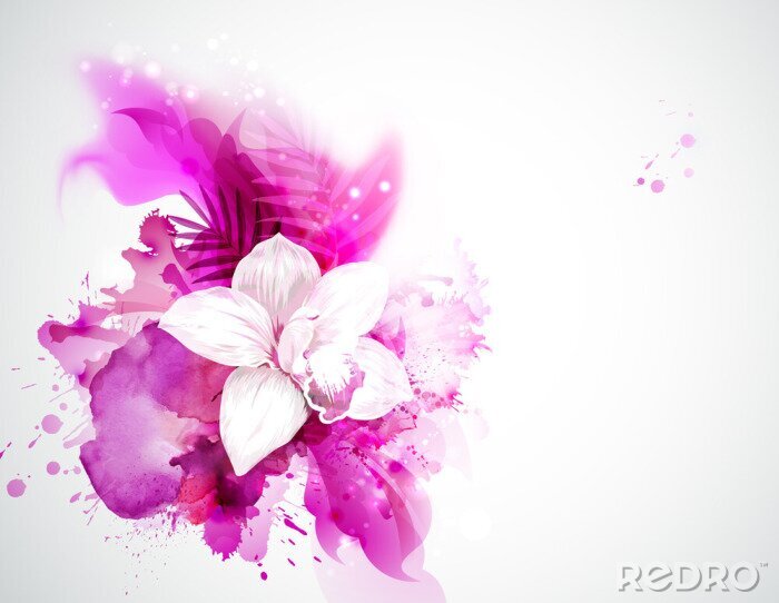 Poster Orchidee weiß auf fuchsiafarbenen Farbflecken
