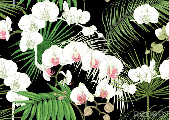 Poster Orchidee weiß mit rosa Mitte und Palmblätter
