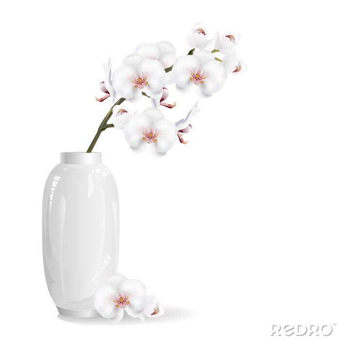 Poster Orchidee weiß Zweig in einer glänzenden Vase