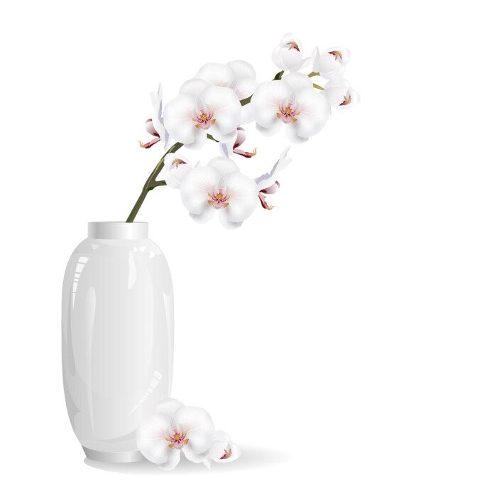 Poster Orchidee weiß Zweig in einer glänzenden Vase