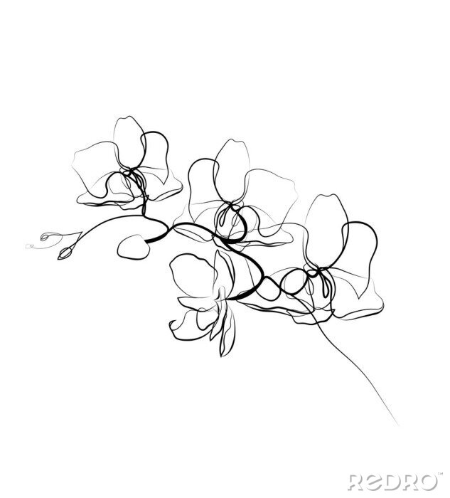 Poster Orchidee Zweig in Schwarz und Weiß