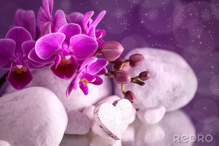 Poster Orchidee zwischen Steinen und Herzen