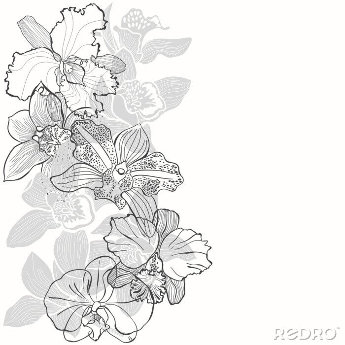 Poster Orchideen mit weißen und schwarzen Rändern