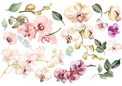 Poster Orchideenblütenblätter Muster mit Blättern und Schmetterlingen