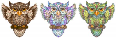 Owl. Wall sticker. Set of 3 artistic, hand-drawn, decorative multicolored owls on a white background.