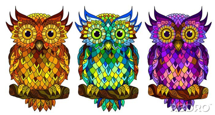 Poster Owl. Wall sticker. Set of 3 artistic, hand-drawn, decorative multicolored owls on a white background.