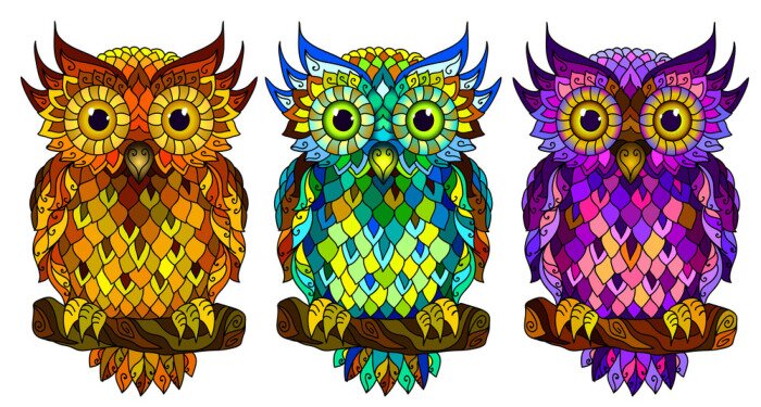 Poster Owl. Wall sticker. Set of 3 artistic, hand-drawn, decorative multicolored owls on a white background.