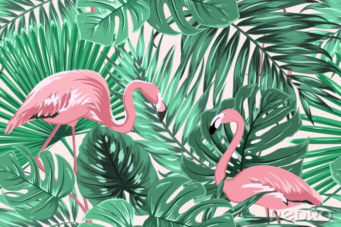 Poster Paar rosa Flamingos