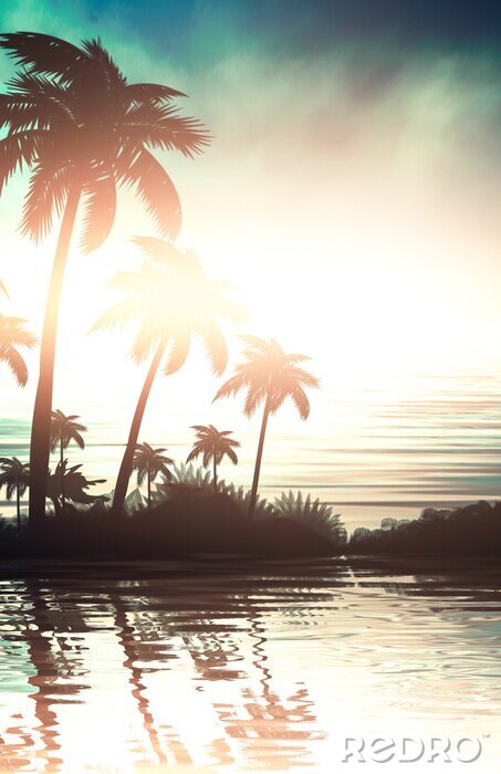 Poster Palmen bei Sonnenuntergang am Wasser