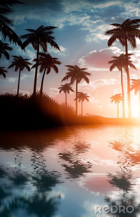 Poster Palmen bei Sonnenuntergang Spiegelung im Wasser