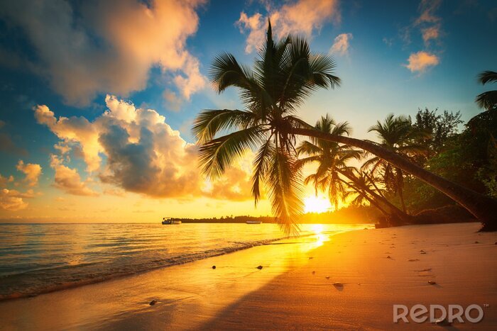 Poster Palmen und exotischer Sonnenuntergang